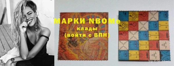 дживик Ельня