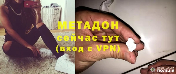 прущие грибы Дмитров
