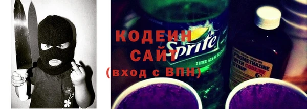 дживик Ельня