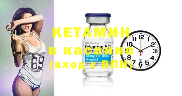 дживик Ельня