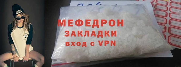 дживик Ельня