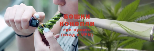 PSILOCYBIN Дмитриев