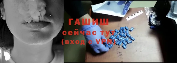PSILOCYBIN Дмитриев