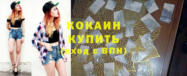 хмурый Елизово