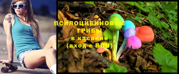 хмурый Елизово