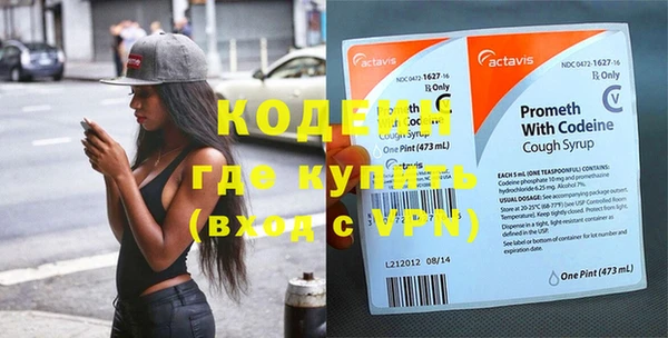 дживик Ельня