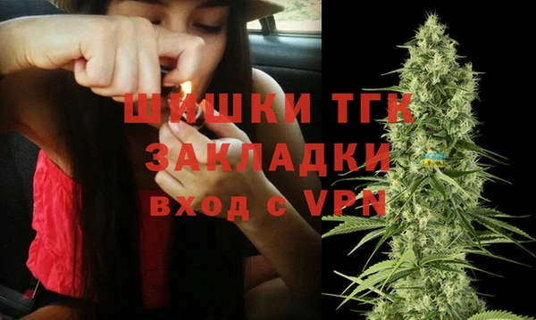 дживик Ельня