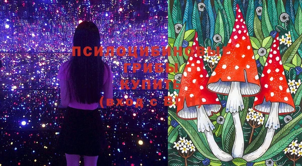 PSILOCYBIN Дмитриев