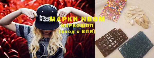 PSILOCYBIN Дмитриев