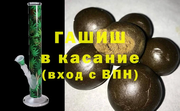 прущие грибы Дмитров
