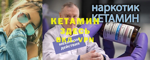 дживик Ельня