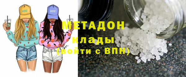 прущие грибы Дмитров