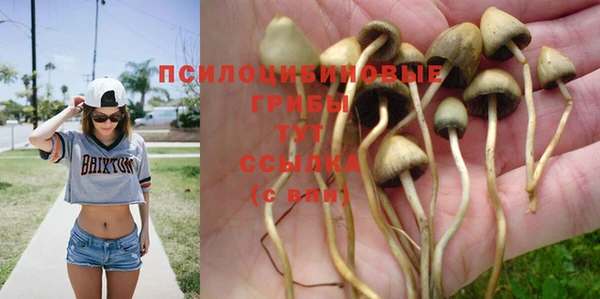 таблы Дмитровск