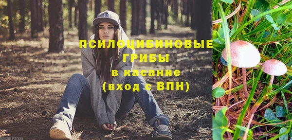 PSILOCYBIN Дмитриев