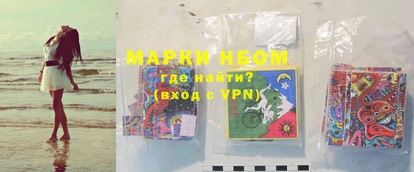 прущие грибы Дмитров