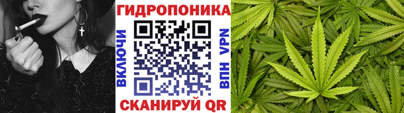 Шишки марихуана VHQ  Петропавловск-Камчатский 